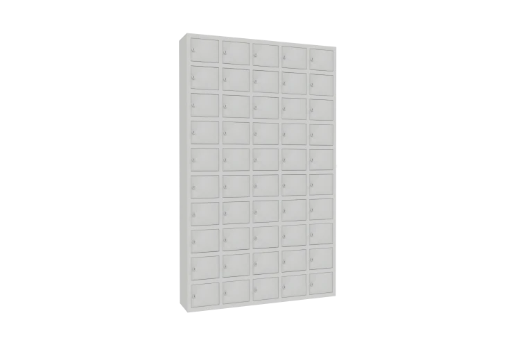 WSS50.png