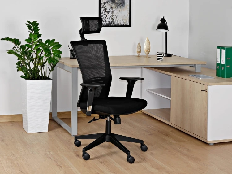 ergonic_p_TKzwrV.jpg
