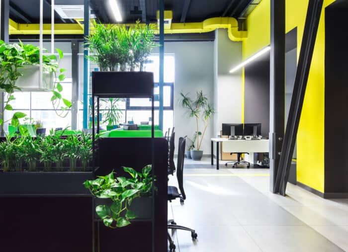 Biophilic design – przyszłość w projektowaniu wnętrz biurowych